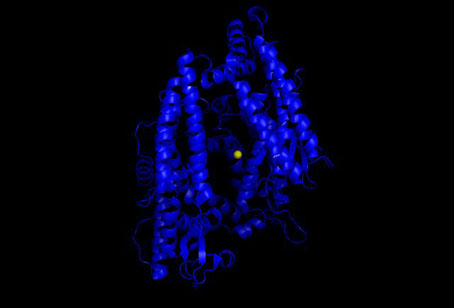 Molecular protein structure