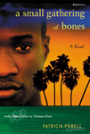 cover of book by Patricia Powell entitled "A Small Gathering of Bones"