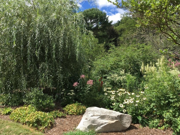 Molly's Garden