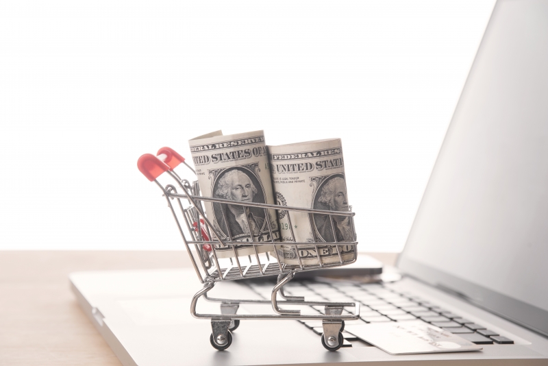 Shopping cart with dollar money on computer