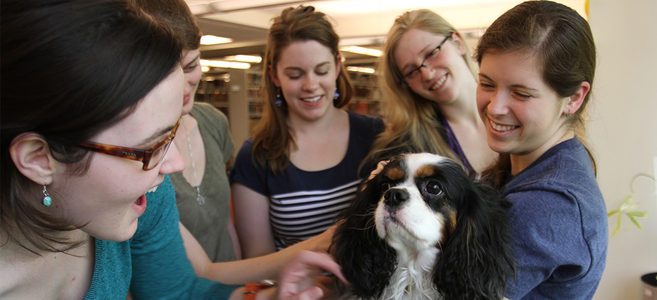 Students visit with a therapy dog during reading period.