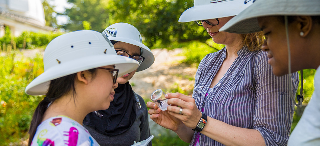 Students and professor examine an insect during a late summer bio survey in Wellesley's Edible Ecosystem Garden