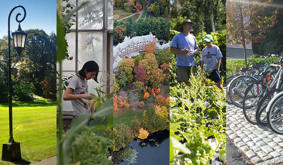 Five photo panels depicting sustainability initiatives at Wellesley.