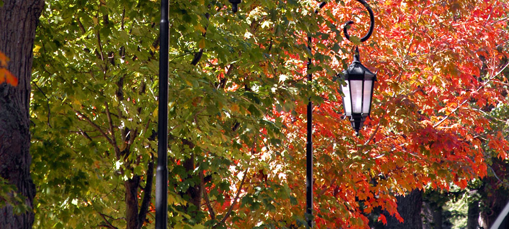 lamp against fall foliage