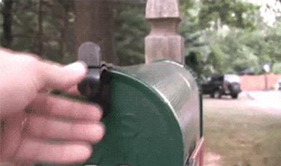 Opening mailbox with a cat inside it.