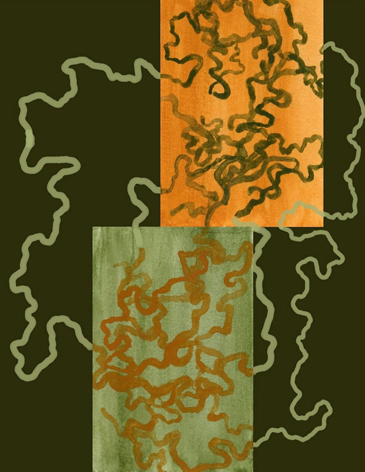 print with orange and green rectangles on black, long squiggles over top