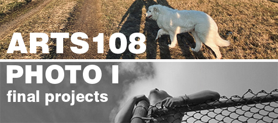 ARTS 108 Photo I final projects white text overlaying photograph of white dog at top and girl on fence at bottom
