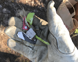 photo of hand in white work glove holding small colorful pieces of plastic
