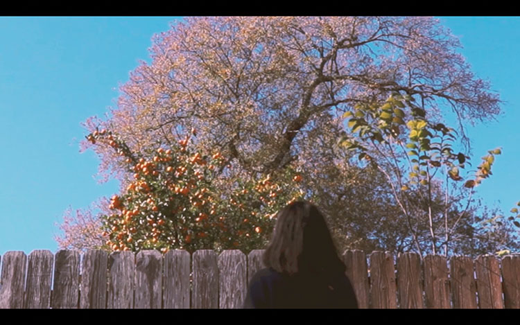 film still of a person facing away from the camera; in front of them is a wooden fence, behind that is a tree and a very blue sky