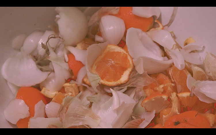 film still of a bunch of cut up oranges and sliced white onions