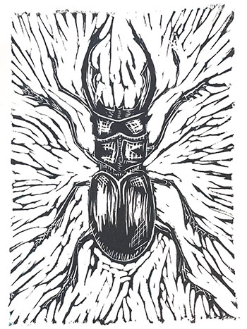 black ink print of stag beetle on white background