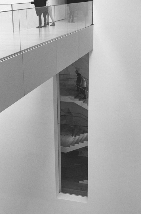 black and white photo of patrons on glass-walled museum walkway with long vertical window to the staircase