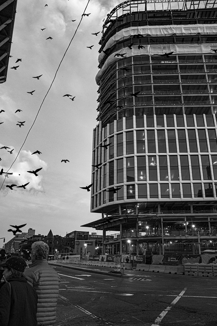 building under construction in a city with birds flying nearby