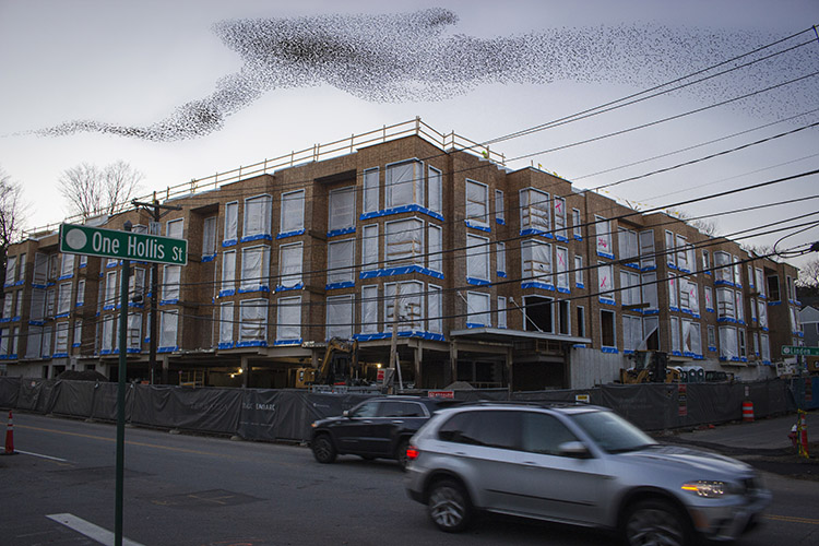large building under construction with murmuration of birds overhead