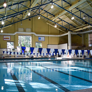 Lanes in the compeition pool