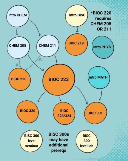Biochem course flowchart