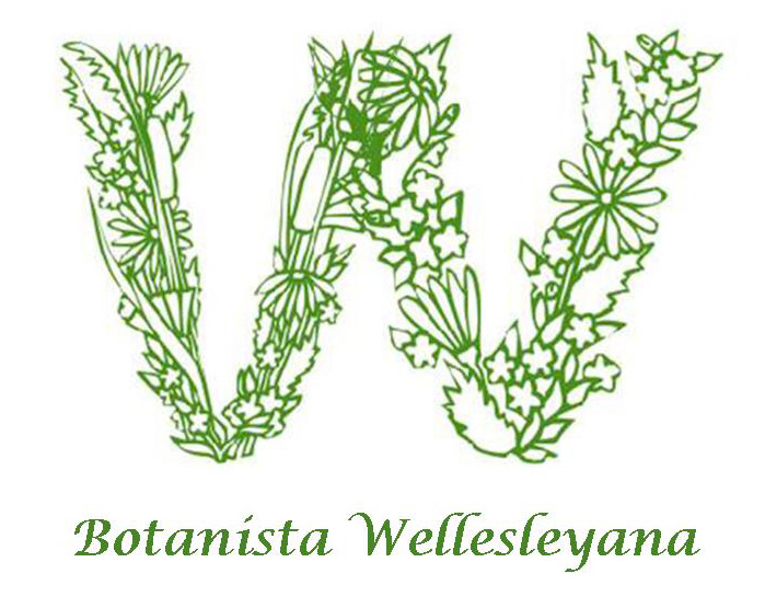 Botanista Wellesleyana