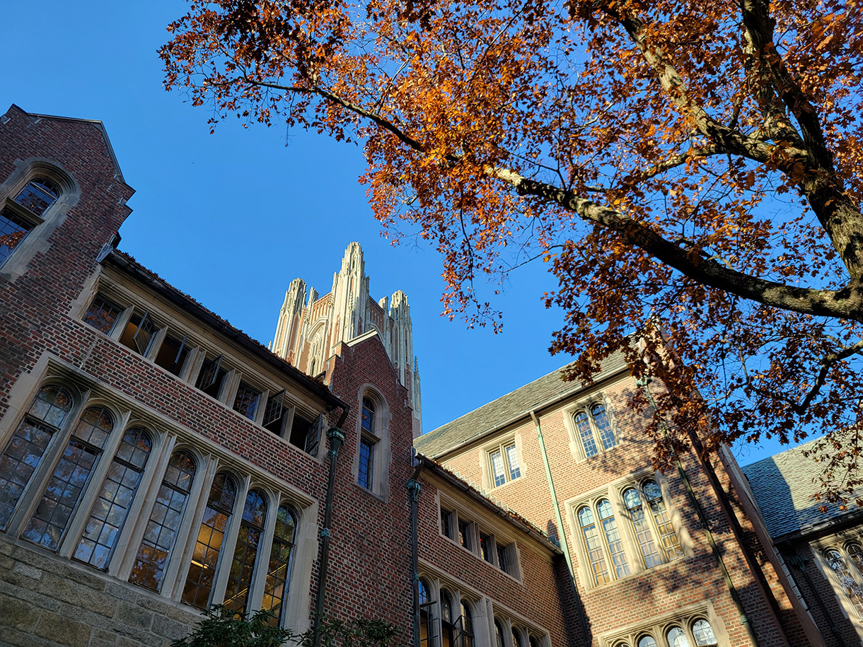 Brick bulding and autumn leaves on tall tree under a clear blue sky.