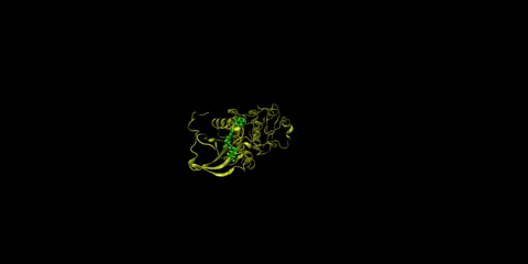 The chronic myeloid leukemia drug imatinib (shown in green) is shown bound to the Abl kinase domain of its target protein Bcr-Abl kinase (shown in yellow) move together against a black backdrop